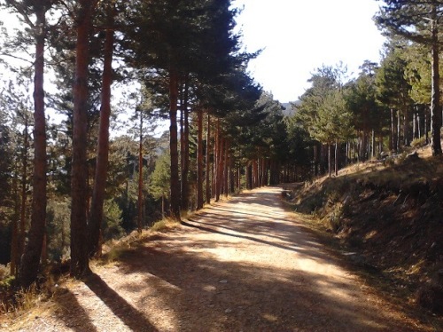 PR26 camino forestal de la barranca